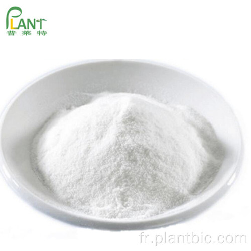 Sepiwhite msh Undecylenoyl Phenylalanine poudre blanchissant